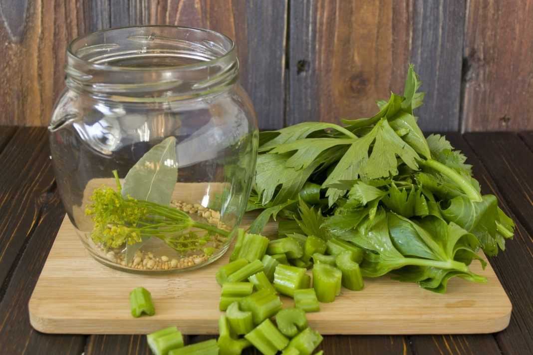 Рецепты маринования сельдерея на зиму своими руками