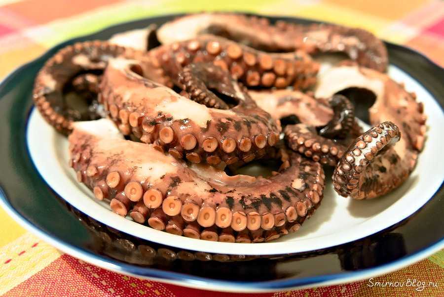 Как приготовить осьминога в домашних условиях: 13 отменных блюд
