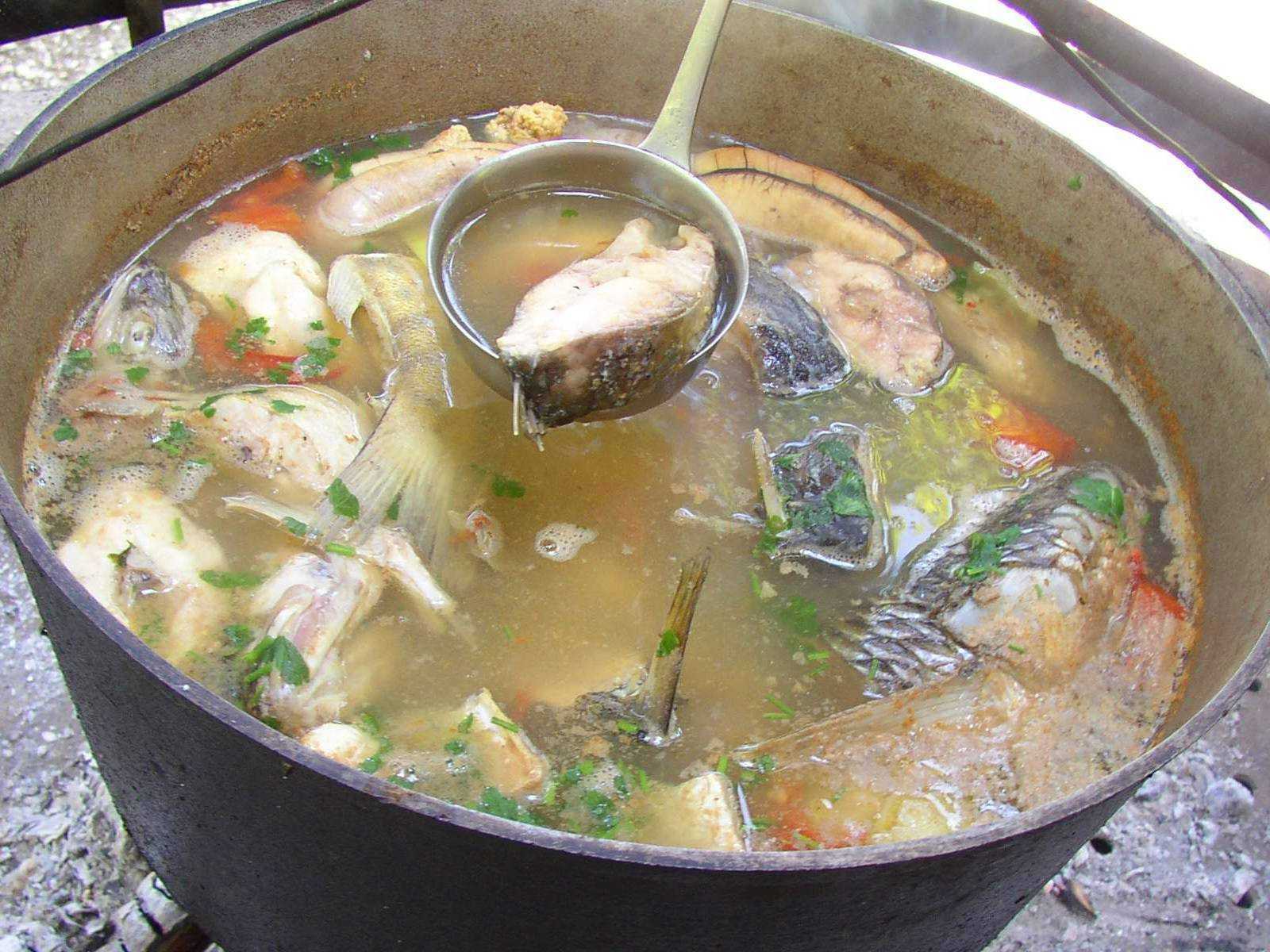 Суп из шашлыка рецепт с фото пошагово