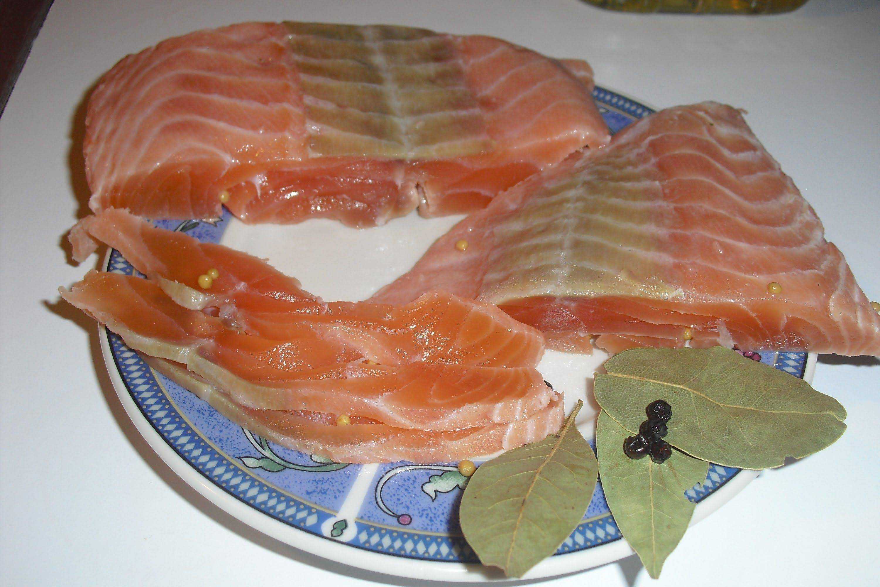 Засолка лосося: пошаговые рецепты с фото для легкого приготовления