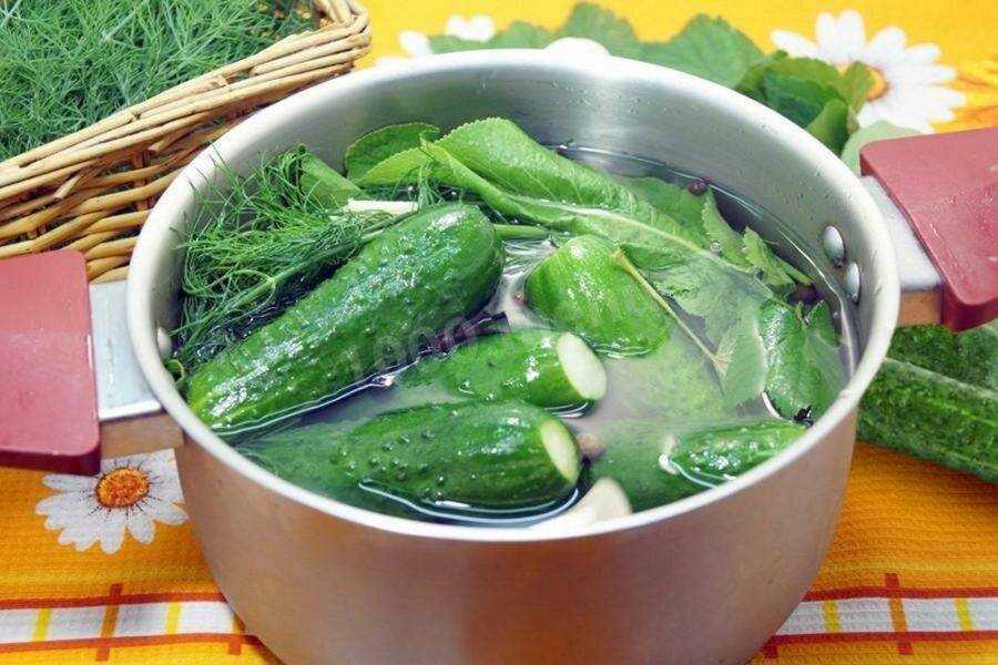 Хрустящие маринованные огурцы в банках. самые вкусные рецепты на зиму