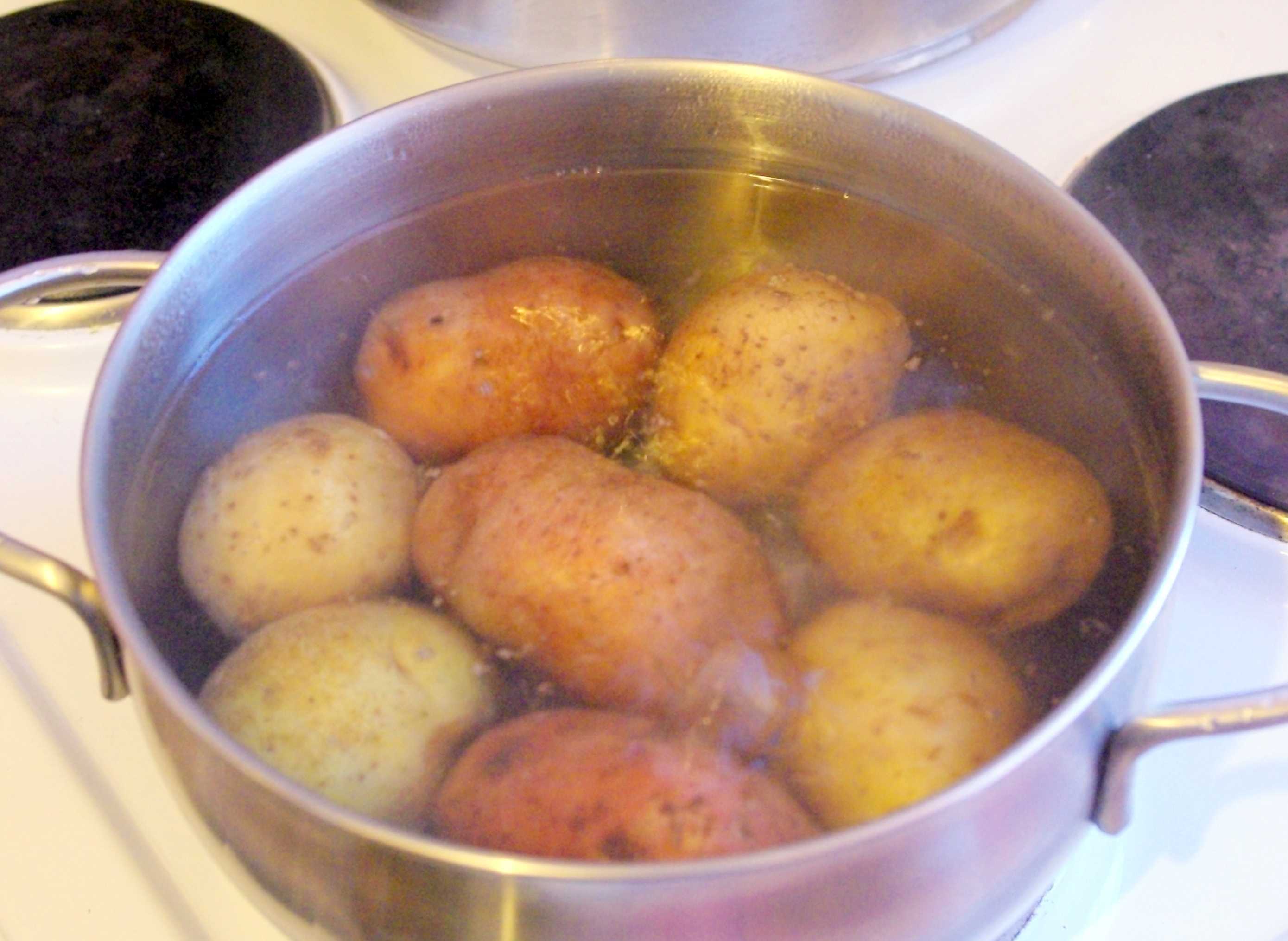 Картошка с водой в кастрюле. Картошка в кастрюле. Вареная картошка в кастрюле. Вареный картофель в кастрюле. Картофель в мундире.