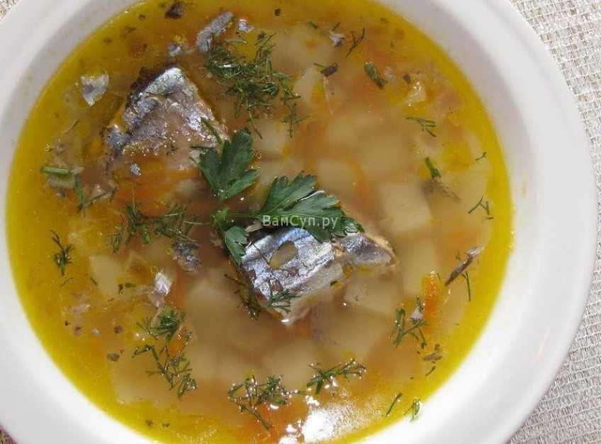 Супы из сайры - пятерка лучших и простых рецептов