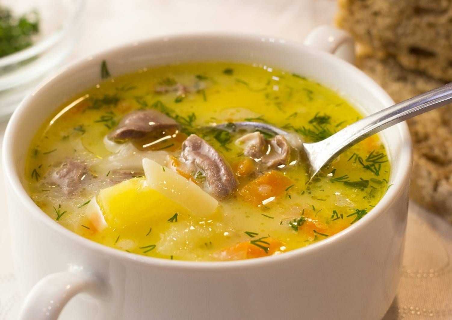 Простые и вкусные супы на каждый день. Суп с куриными потрошками. Мазулевский суп. Суп с куриными сердечками. Для супа.