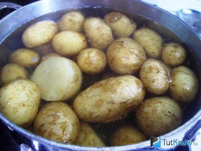 Жареная картошка на сковороде с чесноком (рецепт картофеля с хрустящей корочкой)