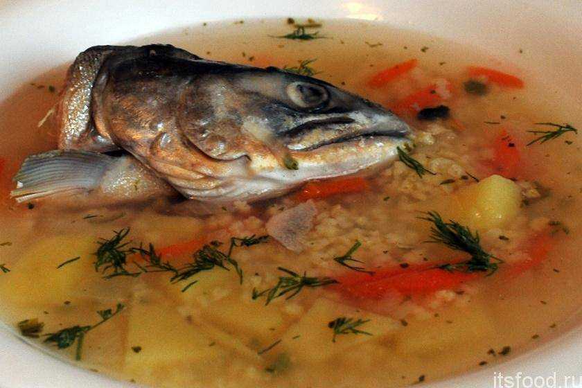 Уха из головы и хвоста горбуши: как сварить рыбный суп с рисом или с пшеном в домашних условиях, пошаговые рецепты, фото