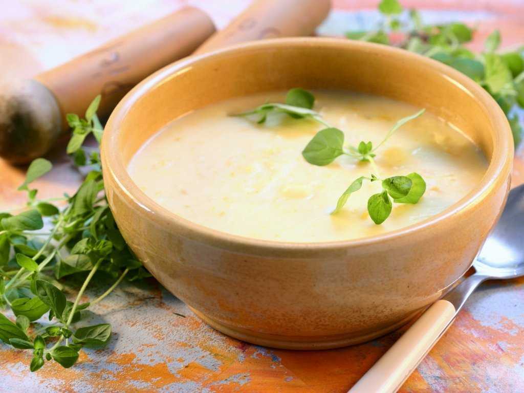 Топ-3 рецепта вишисуаза, как приготовить французский луковый суп