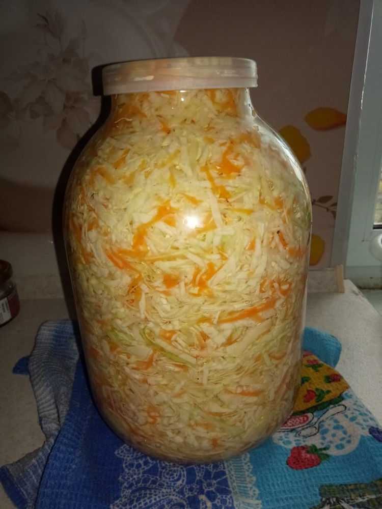 Маринованная капуста быстрого приготовления - 7 простых рецептов