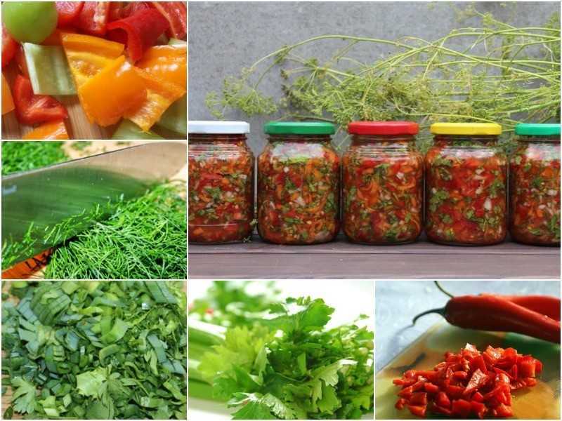 Рецепты маринования сельдерея на зиму своими руками