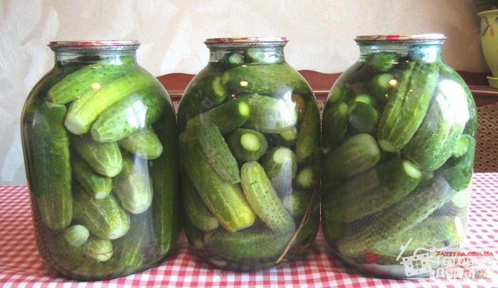 Огурцы по-болгарски на зиму — самый вкусный рецепт